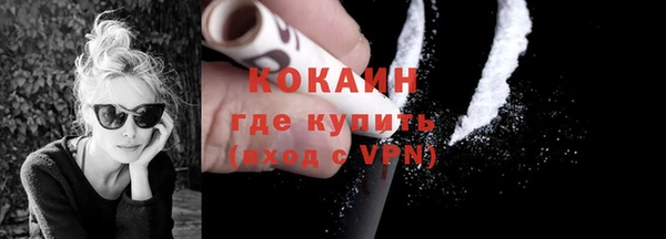 шишки Гусь-Хрустальный