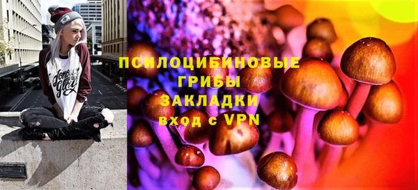 шишки Гусь-Хрустальный