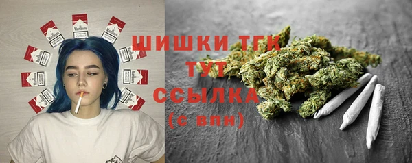 винт Гусев