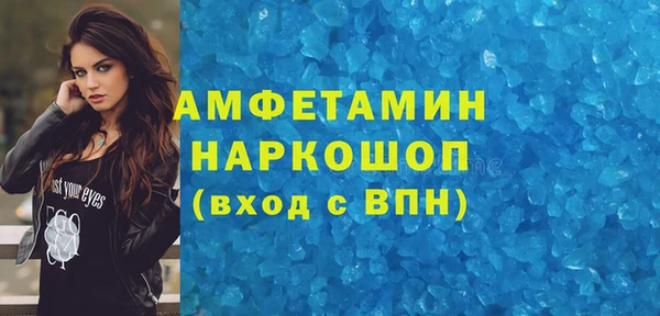 шишки Гусь-Хрустальный