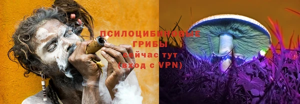 ПСИЛОЦИБИНОВЫЕ ГРИБЫ Нея
