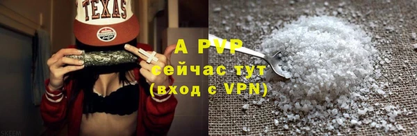 шишки Гусь-Хрустальный