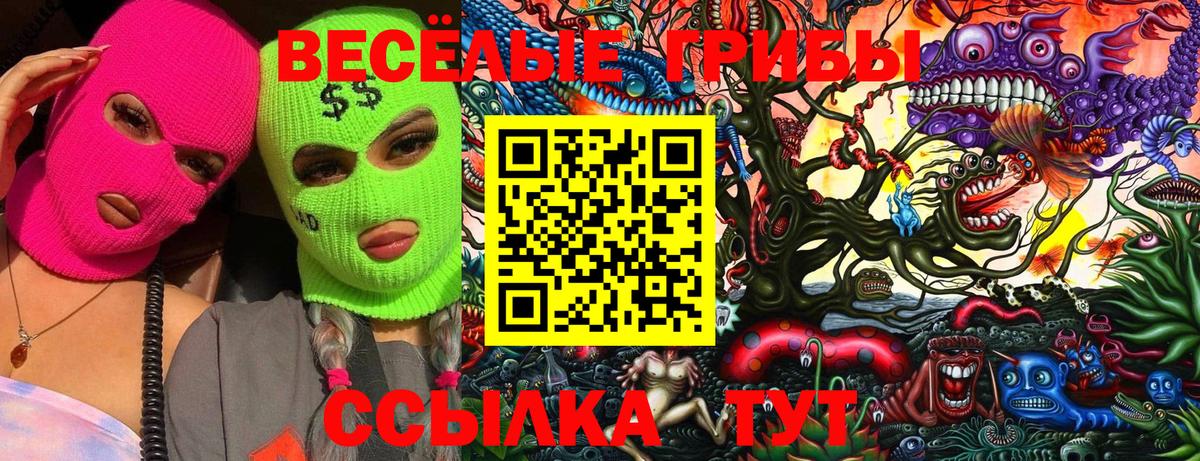 Галлюциногенные грибы Magic Shrooms Сальск